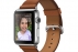 Apple Watch 42mm Stainless Steel Case with Saddle ...