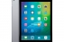 Apple iPad Pro 12.9" Wi-Fi+LTE 128GB Space Gr...