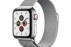 Apple Watch Series 5 GPS + LTE 40mm Stainless Stee...