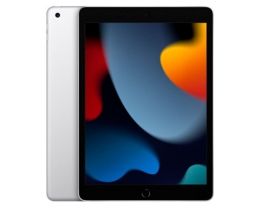 Планшет Apple iPad 10.2” 2021 Wi-Fi + Cellular 256GB Silver (MK6A3, MK4H3)